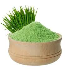 Wheatgrass Dry Extract