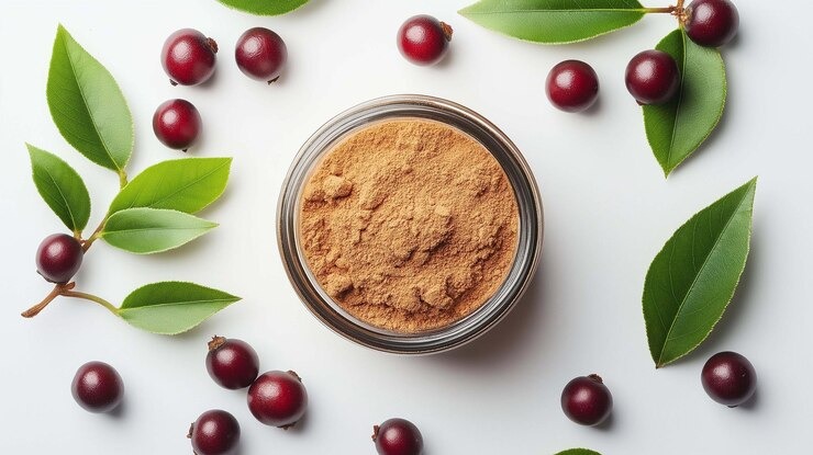Garcinia Cambogia Extract