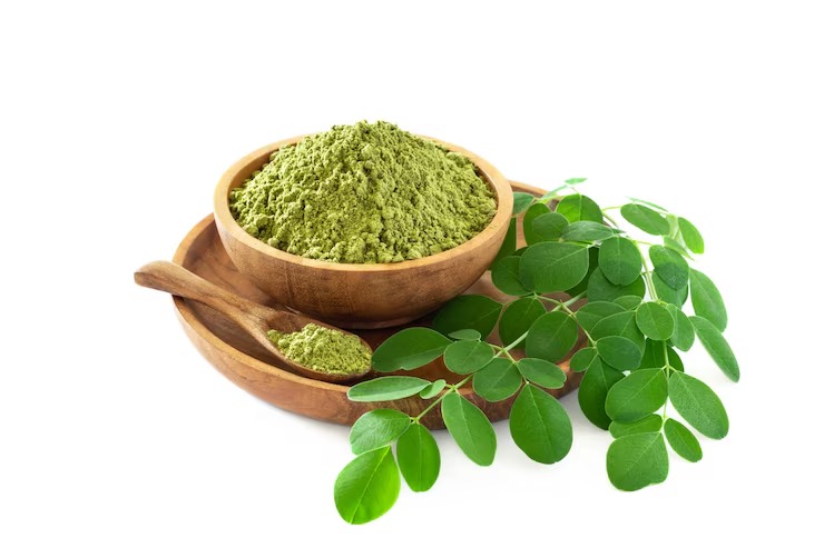 Moringa Extract (Moringa oleifera)