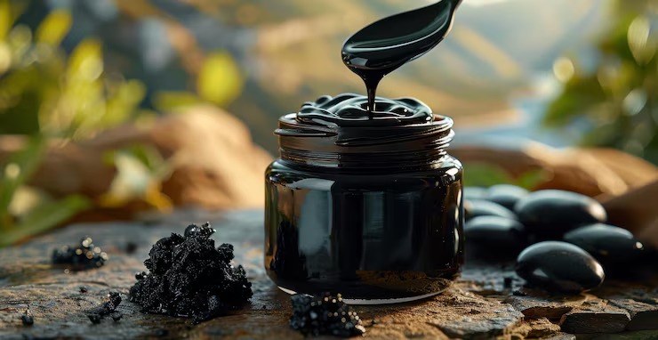 Shilajit Extract
