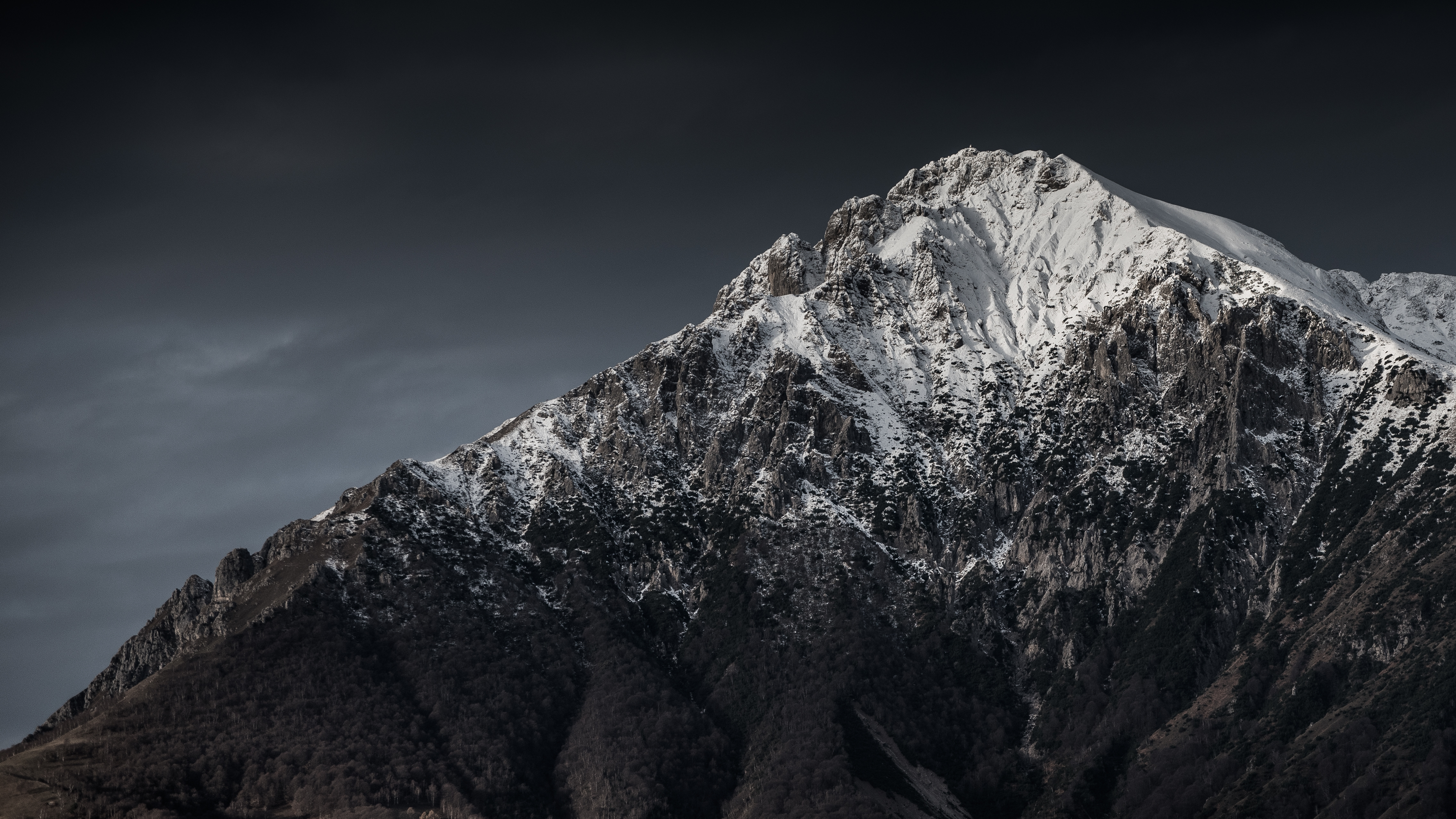 Pure Himalayan Shilajit
